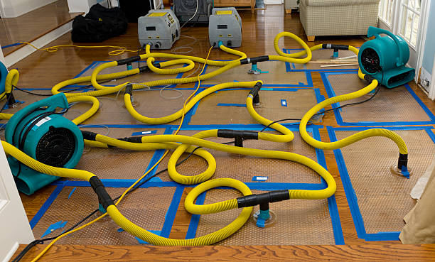Professional Crawl Space Water Removal technician working in Raywood, TX